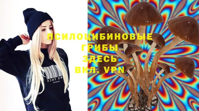 Галлюциногенные грибы MAGIC MUSHROOMS  blacksprut вход  Ипатово 